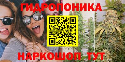 молекула духа Краснодар