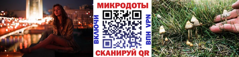 Псилоцибиновые грибы Psilocybine cubensis  даркнет сайт  OMG рабочий сайт  Чайковский 