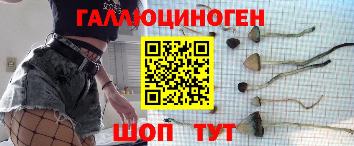Галлюциногенные грибы Psilocybine cubensis  Вход с VPN  Чайковский 