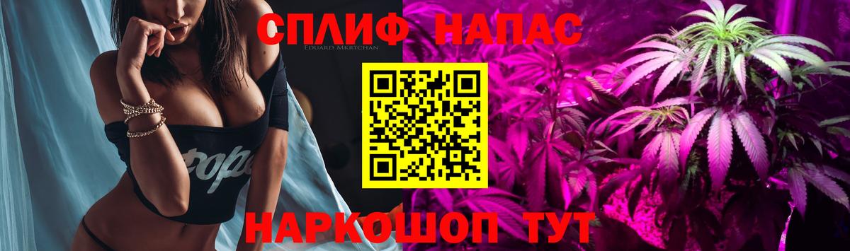 Альфа ПВП Чайковский